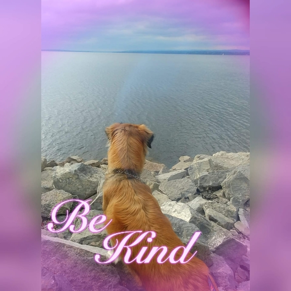 Meet your Posher, Tara - Picture 1 of 1